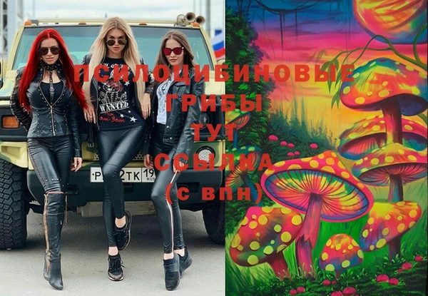 каннабис Аркадак